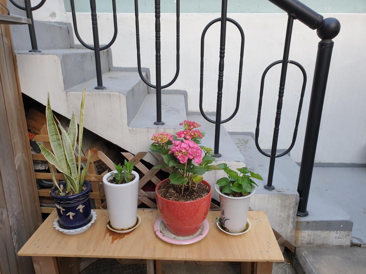 Oh My Guesthouse Seoul Luaran gambar