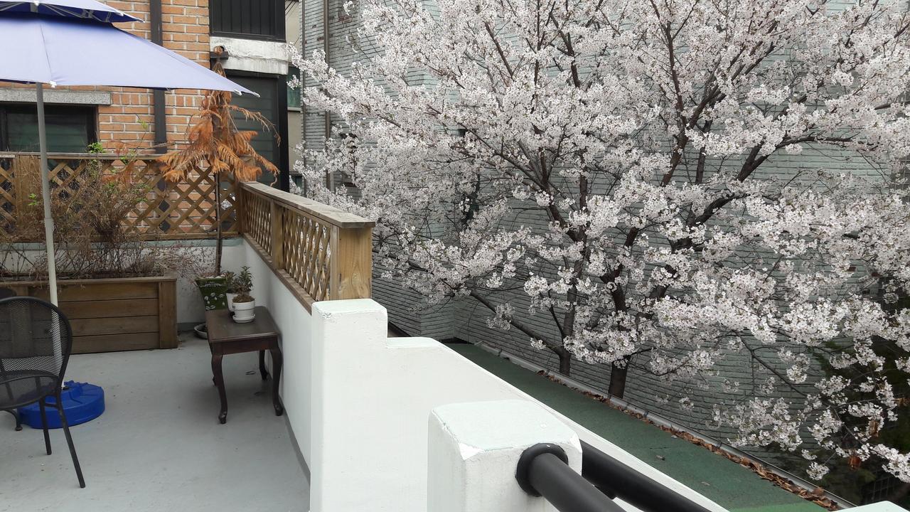 Oh My Guesthouse Seoul Luaran gambar